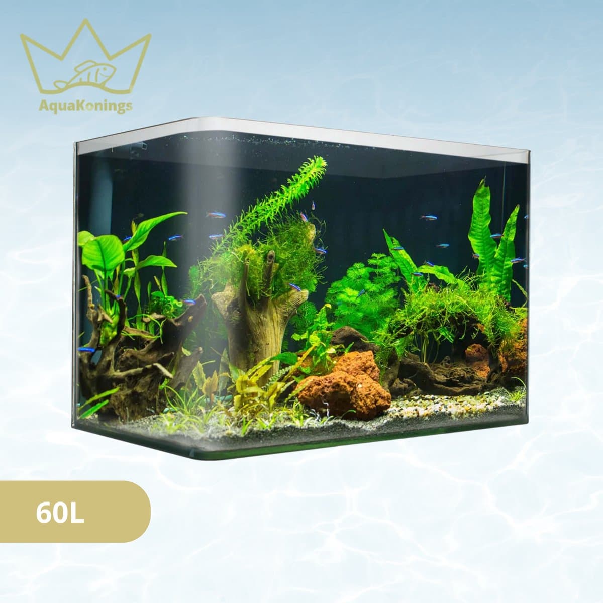 AquaKonings – Aquarium – Aquarium met afgeronde hoeken - Aquariumkit 60x30x36 64L