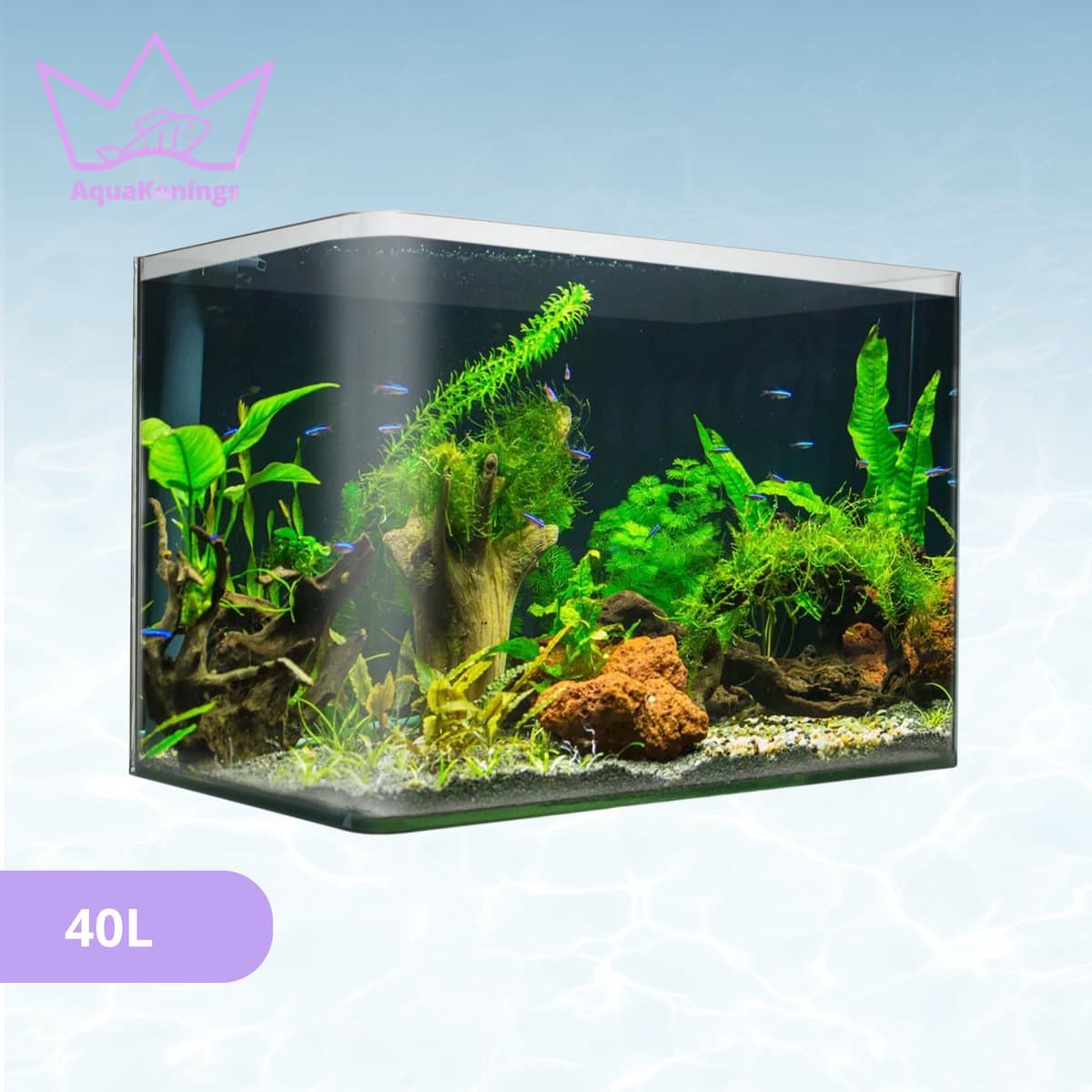 AquaKonings – Aquarium – Aquarium met afgeronde hoeken - Aquariumkit 50x27x30 40L